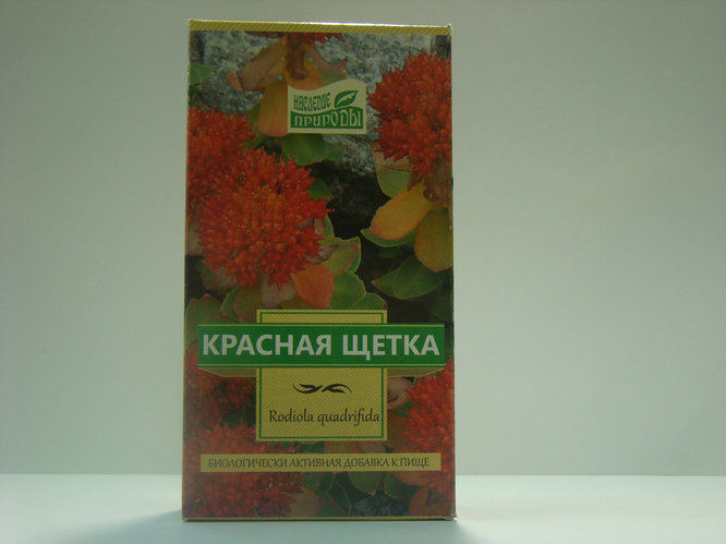 Красная щетка отзывы. Красная щетка наследие природы 30г. Красная щетка Камелия. Красная щетка Камелия ЛТ. Красная щетка корни 30г.